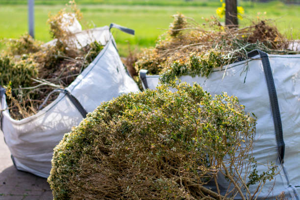 Best Basement Cleanout Services  in Rockville, MN